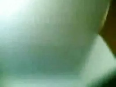तीन पिल्ले पुसी चाटत आहेत